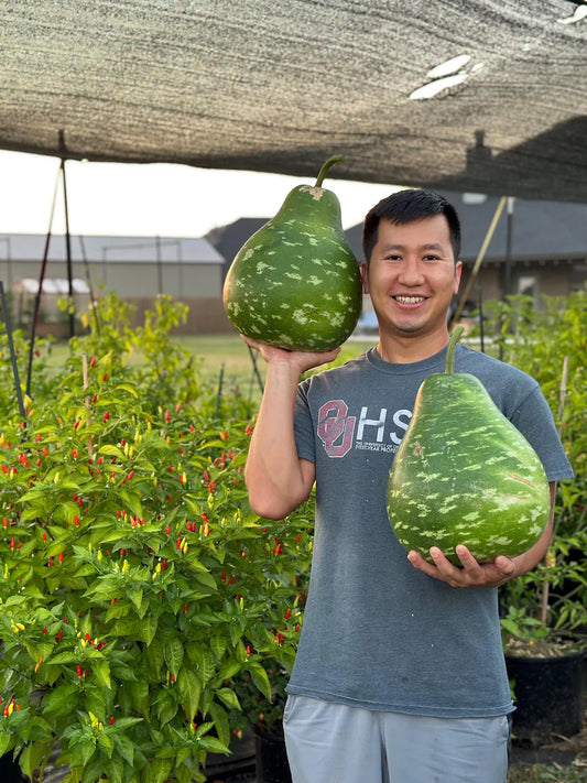 Bầu Sao/ Speckled Gourd Seeds