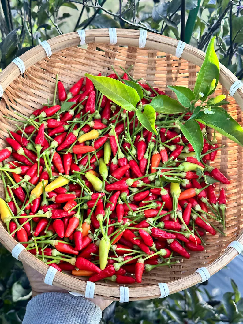 Hawaiian Kona Pepper Seeds